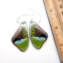 Load image into Gallery viewer, Hewitson's Olivewing Earrings