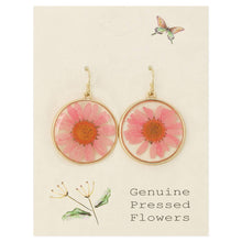 Load image into Gallery viewer, Pink Chrysanthemum Dried Flower Earrings