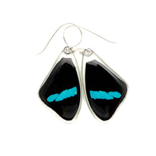 Load image into Gallery viewer, Hewitson's Olivewing Earrings