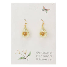 Load image into Gallery viewer, White Dried Flower Clear Teardrop Earrings