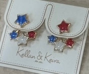 Load image into Gallery viewer, 3-D Front Back Earrings