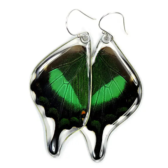 Real Butterfly Wing Earrings, Emerald Swallowtail