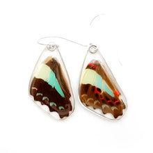 Load image into Gallery viewer, Butterfly Earrings, Bluebottle Butterfly, Bottom Wings
