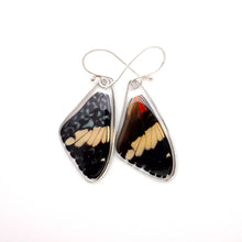Load image into Gallery viewer, 0580 Butterfly Earrings, Red Cracker, Top
