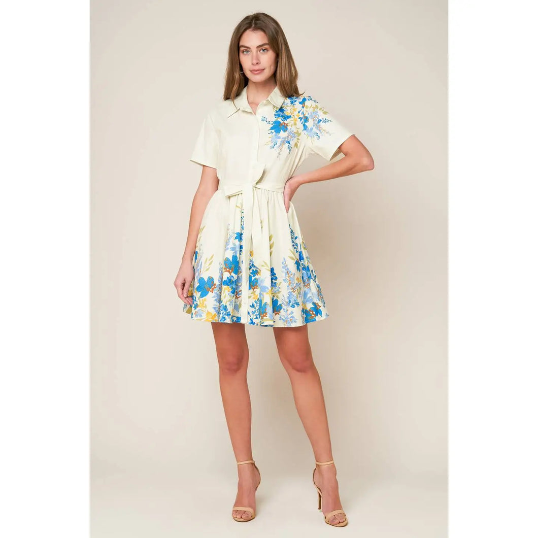 A Printed Woven Mini Dress