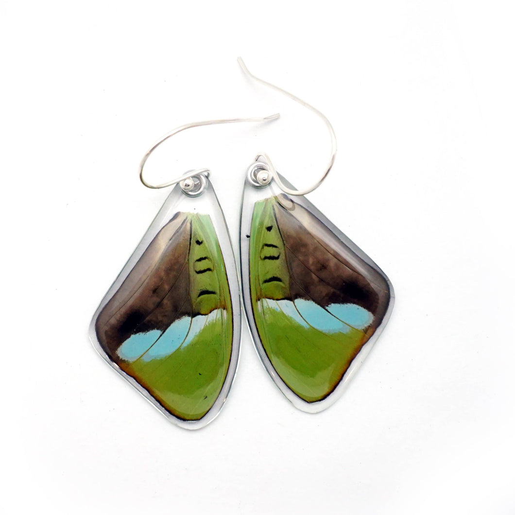 Hewitson's Olivewing Earrings