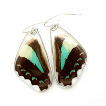 Load image into Gallery viewer, Butterfly Earrings, Bluebottle Butterfly, Bottom Wings
