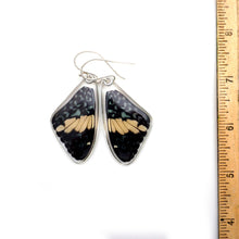 Load image into Gallery viewer, 0580 Butterfly Earrings, Red Cracker, Top
