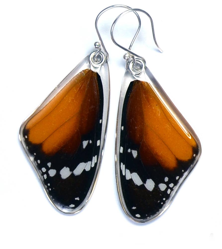 0240 Butterfly Earrings, African Monarch Butterfly, top