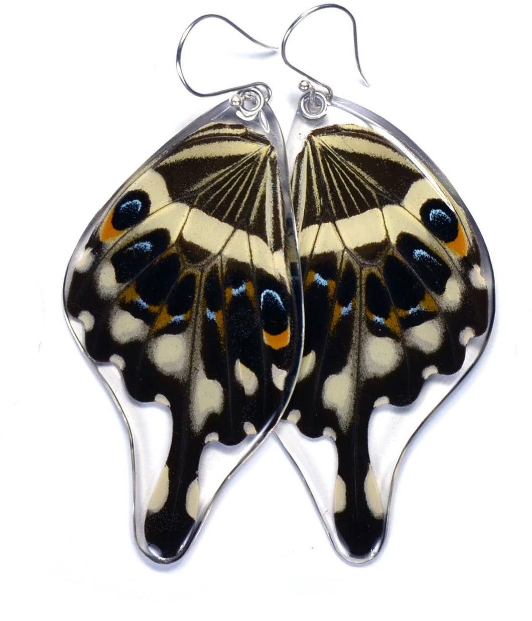 0285 Butterfly Earrings, Central Emperor Swallowtail, bottom