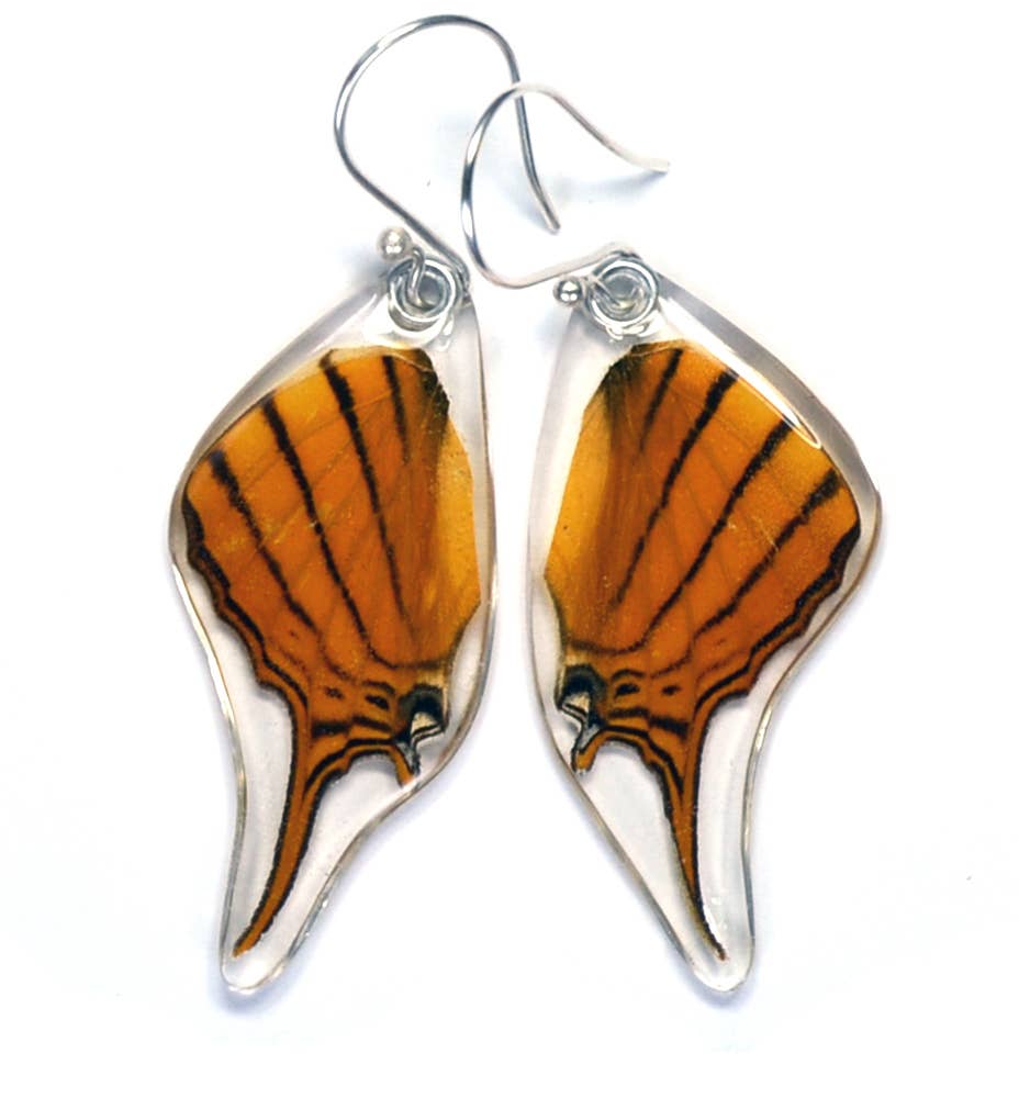 0315 Butterfly Earrings, Orange Daggerwing, Bottom Wing