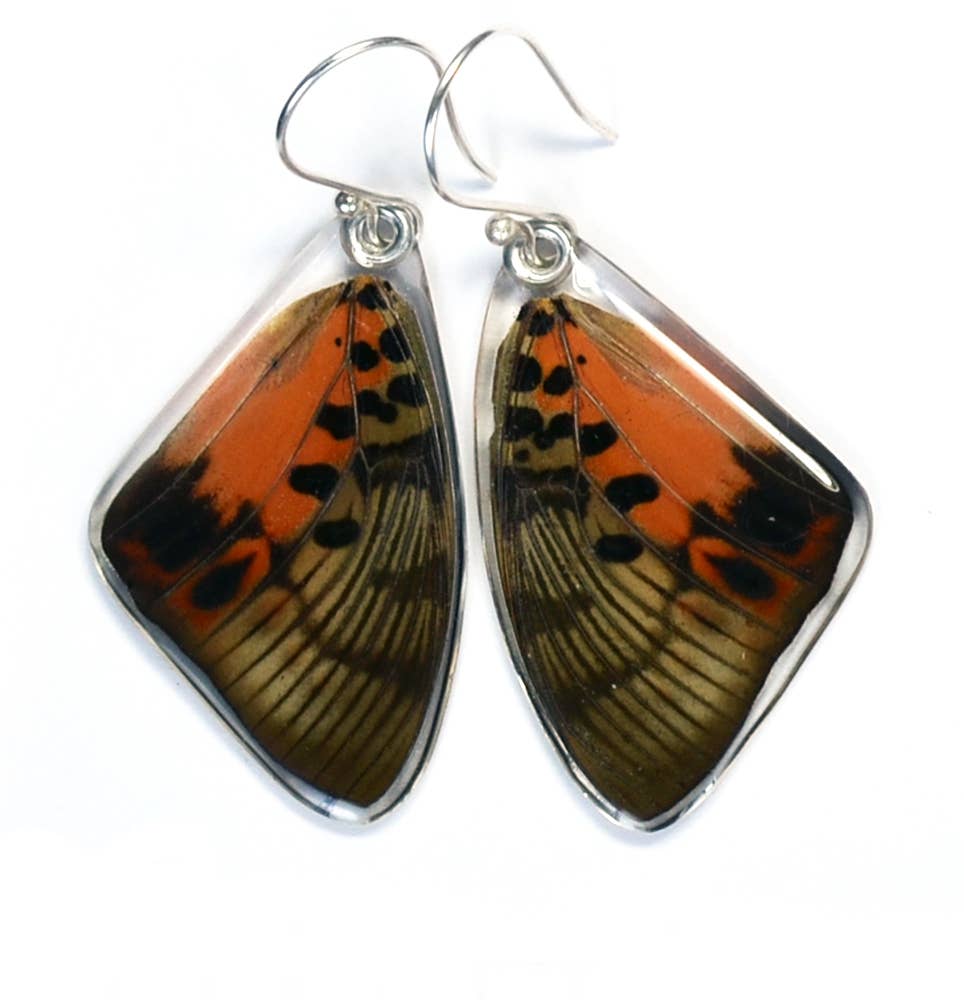 0380 Butterfly Earrings, Shining Red Charaxes, Top Wing