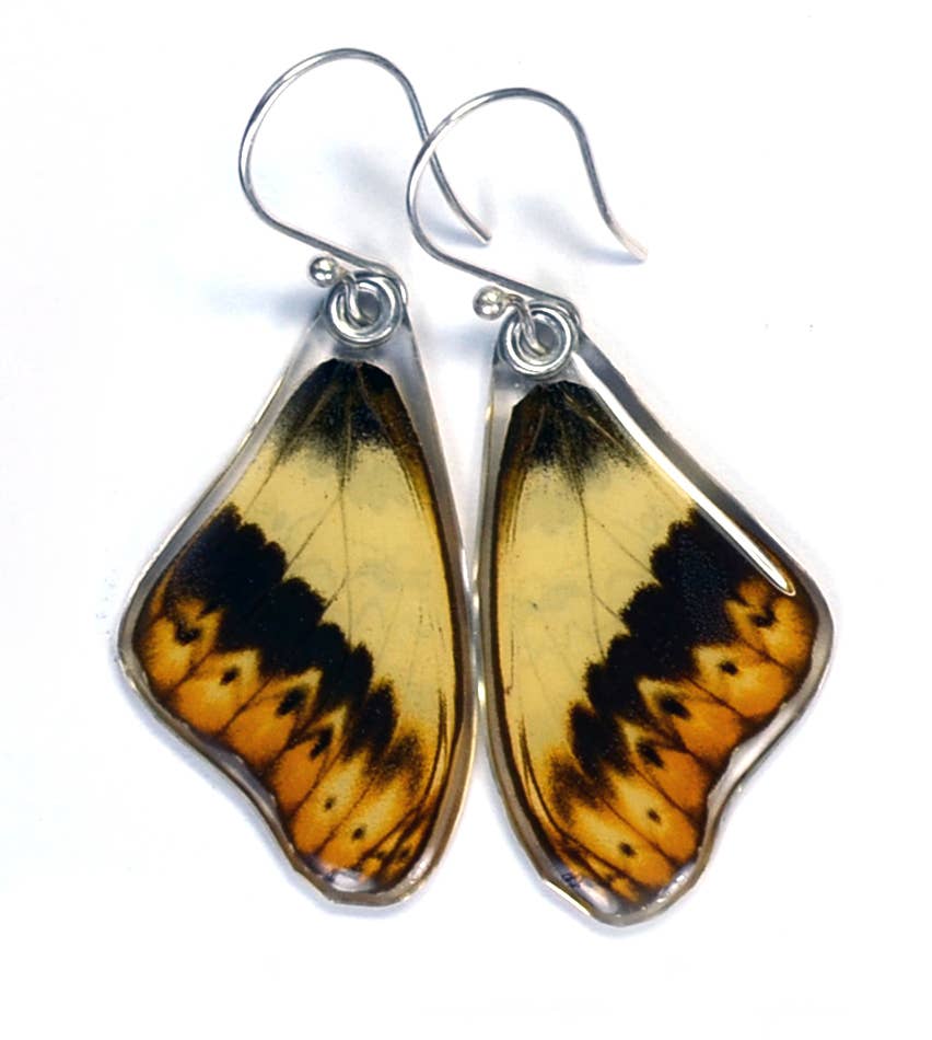 0420 Butterfly Earrings, Herminia Glider, Top Wing