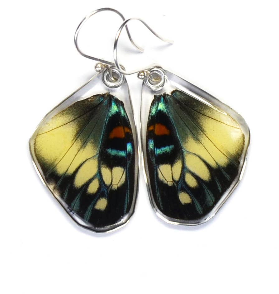 0460 Butterfly Earrings, Day Flying Moth, Bottom Wing