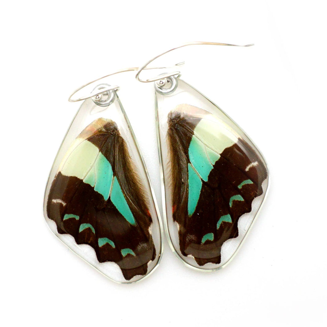 0640 Butterfly Earrings, Bluebottle Butterfly, Bottom Wings